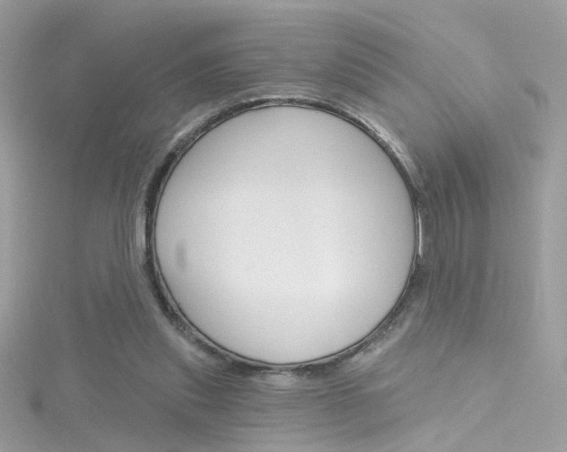 X0000116160253200911231047
