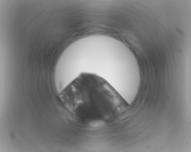 X0000116160274200911231047