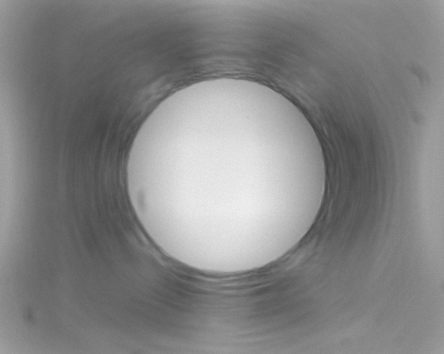 X0000116160288200911231047