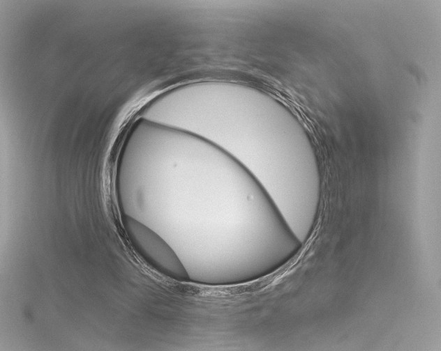 X0000116160294200911231046