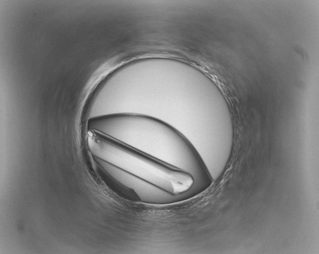 X0000116160296200911231046