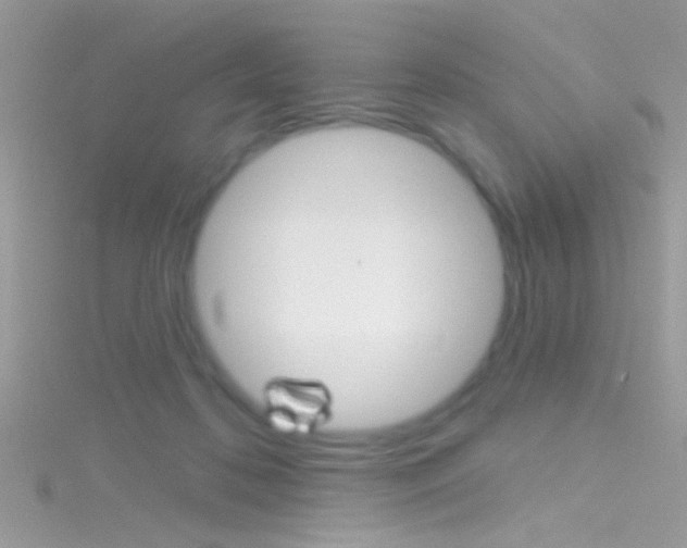 X0000116160316200911231046