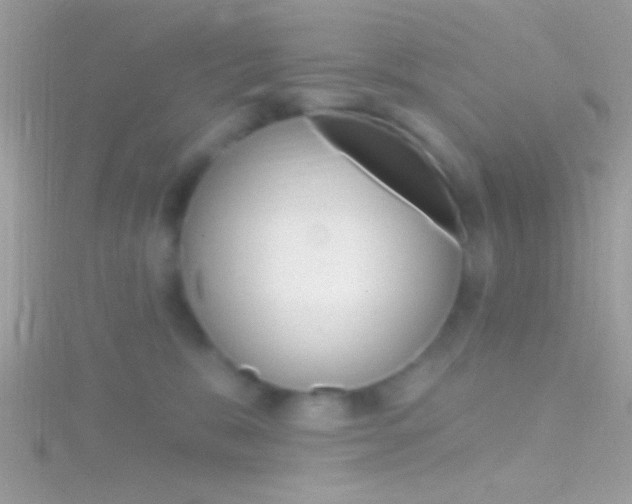 X0000116160327200911231046