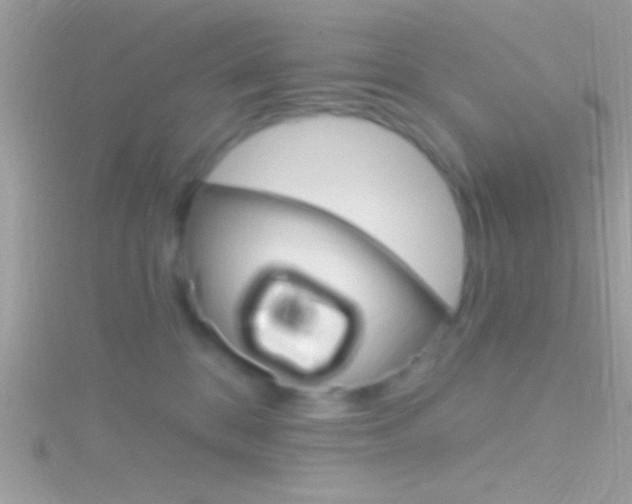 X0000116160328200911231046