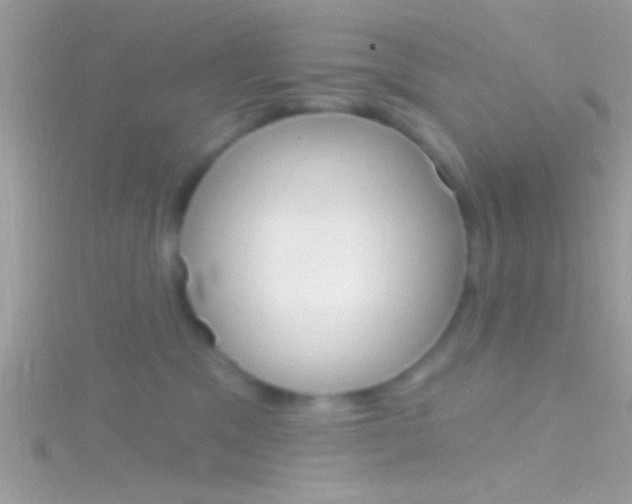 X0000116160329200911231046