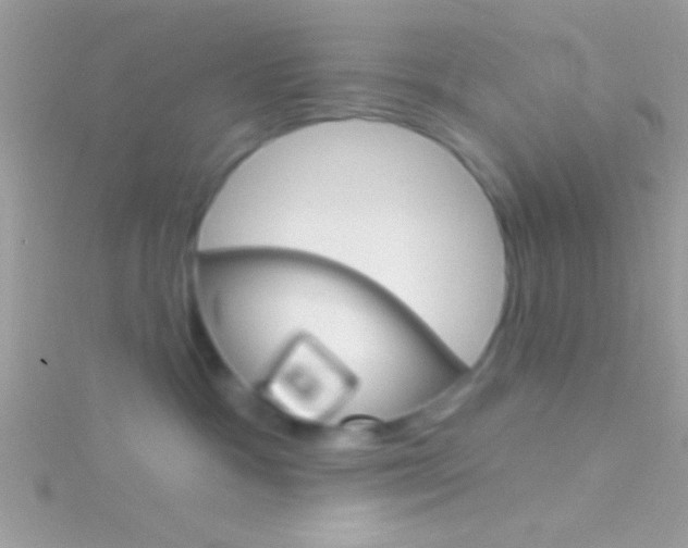 X0000116160333200911231046