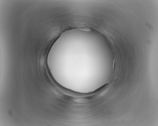 X0000116160336200911231046