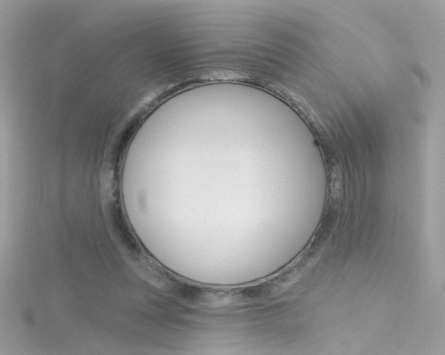 X0000116160351200911231045