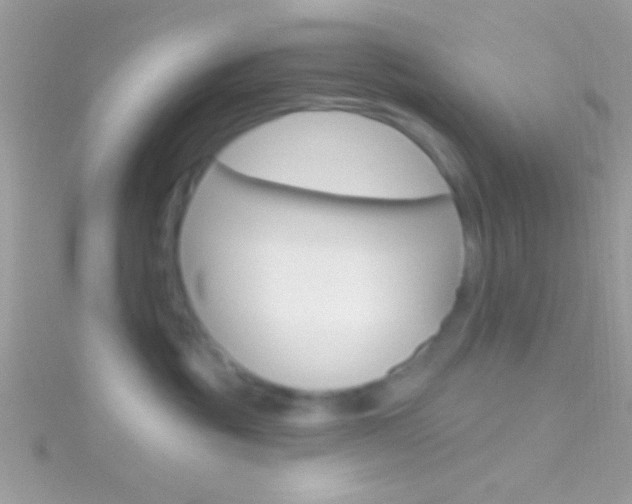 X0000116160381200911231046