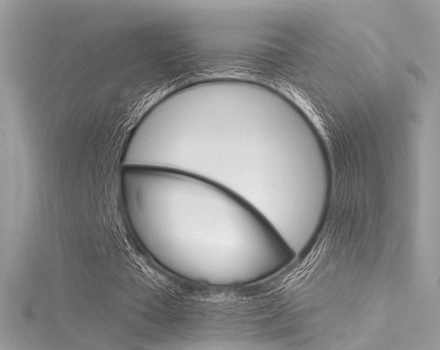 X0000116160385200911231045