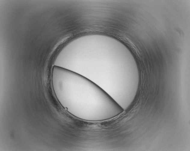 X0000116160396200911231045