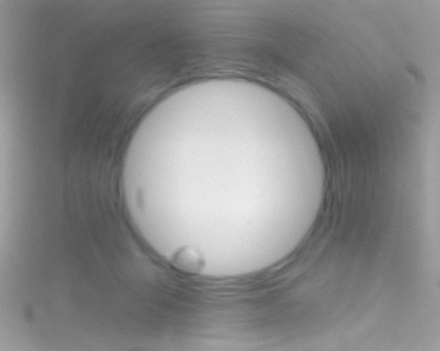 X0000116160415200911231045