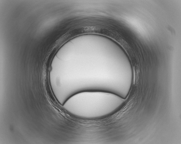 X0000116160435200911231044