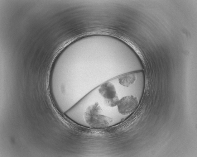 X0000116160437200911231044
