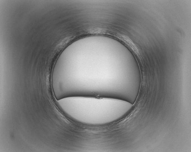 X0000116160441200911231044