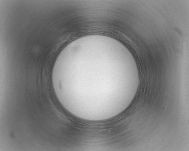 X0000116160452200911231044