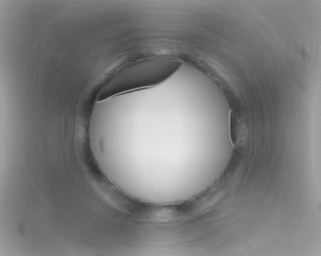 X0000116160456200911231044
