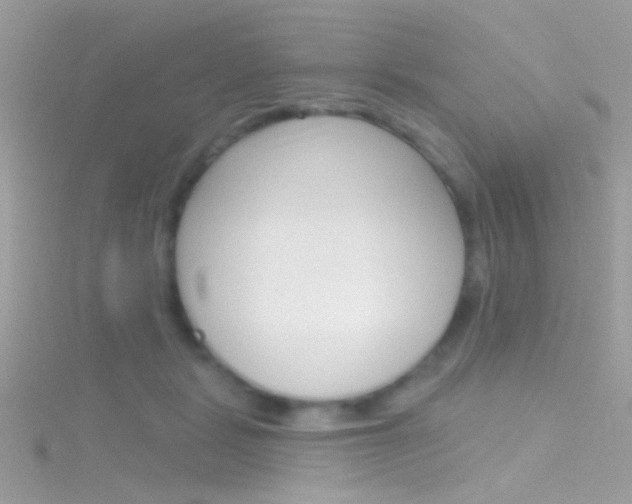X0000116160461200911231044