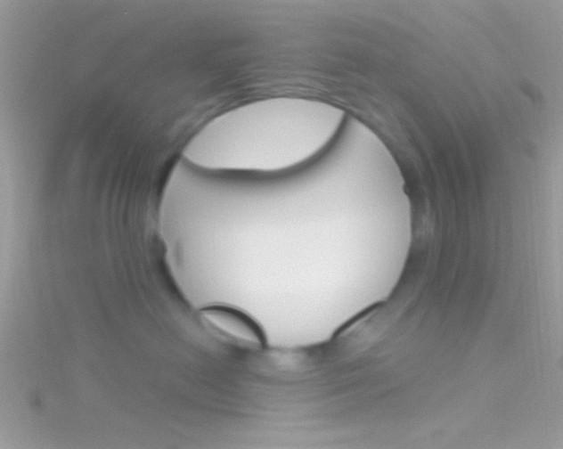 X0000116160478200911231045