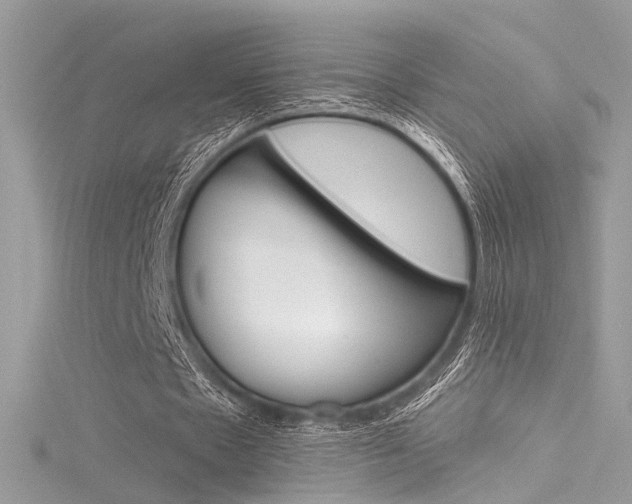 X0000116160481200911231044
