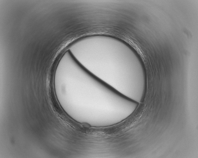 X0000116160483200911231044