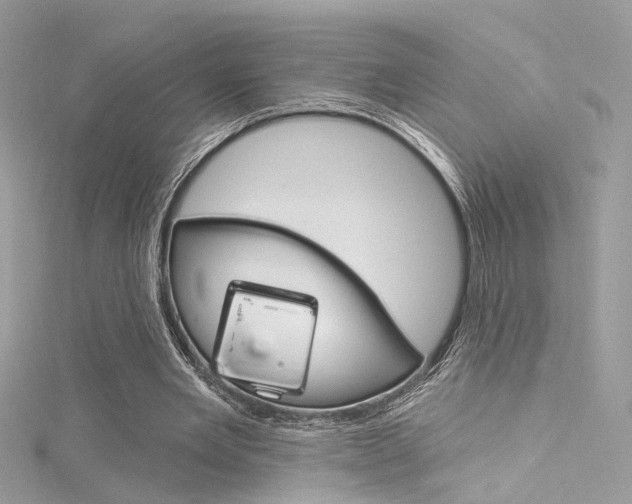 X0000116160485200911231044