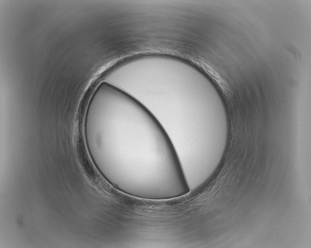 X0000116160488200911231044