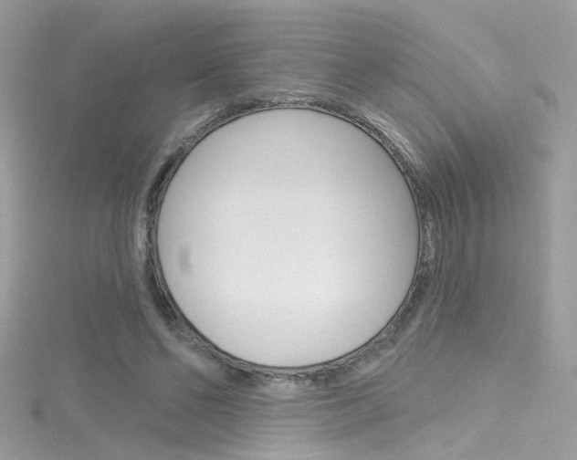 X0000116160494200911231044