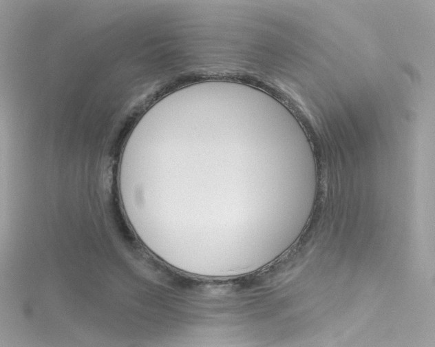 X0000116160495200911231044