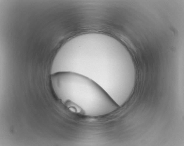X0000116160509200911231043