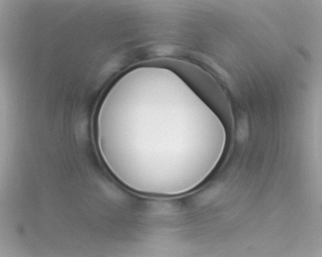 X0000116160524200911231043