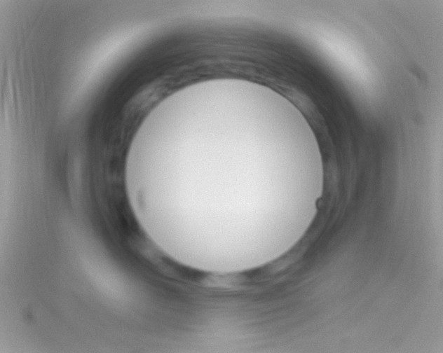 X0000116160526200911231043