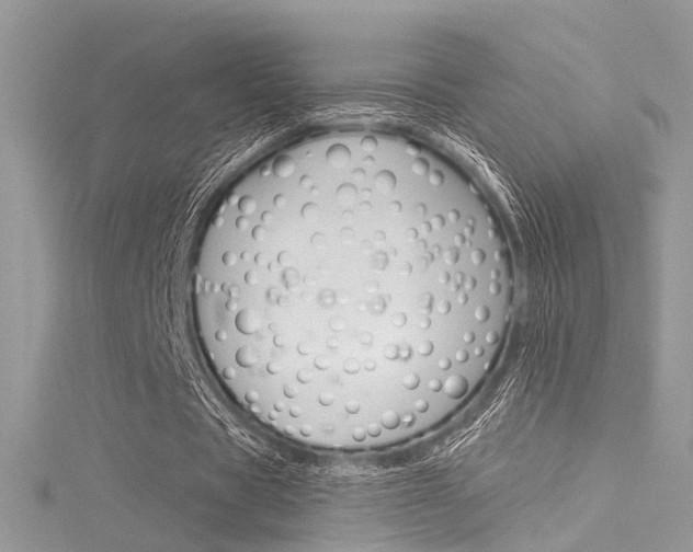 X0000116160529200911231042
