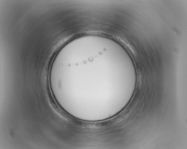 X0000116160533200911231043