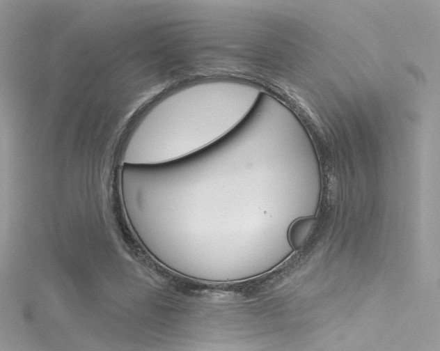 X0000116160539200911231043