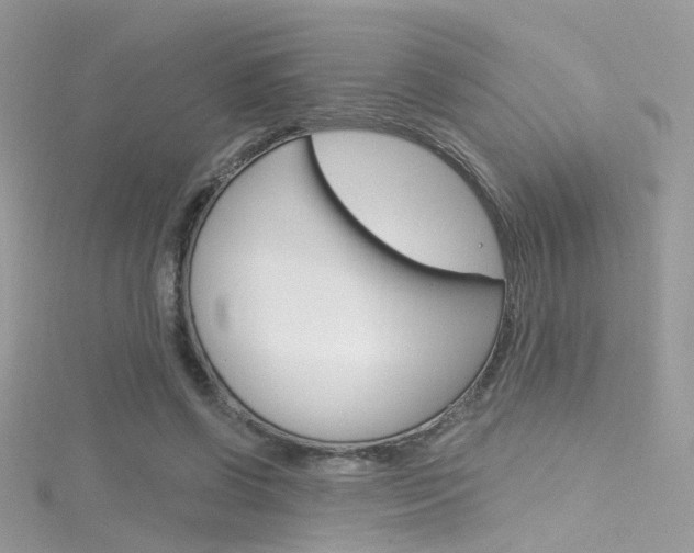 X0000116160542200911231043