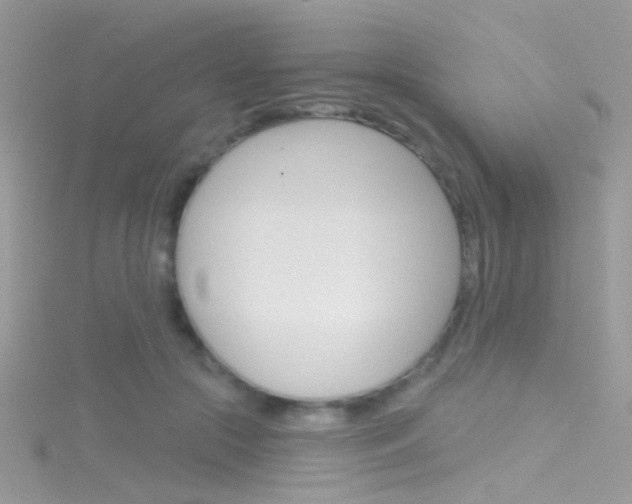 X0000116160553200911231043
