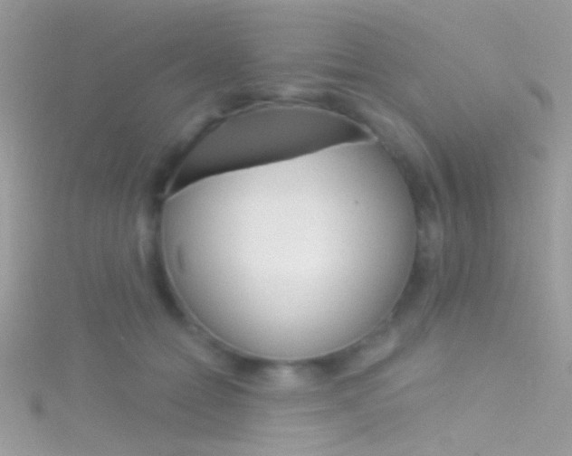 X0000116160558200911231043