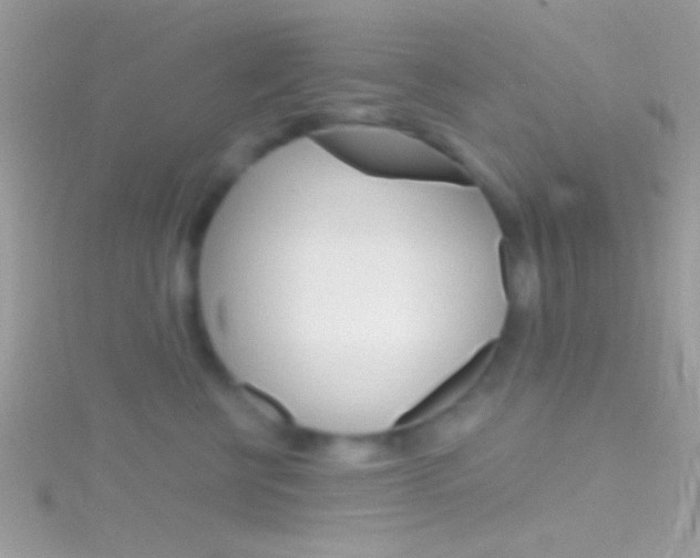 X0000116160570200911231043
