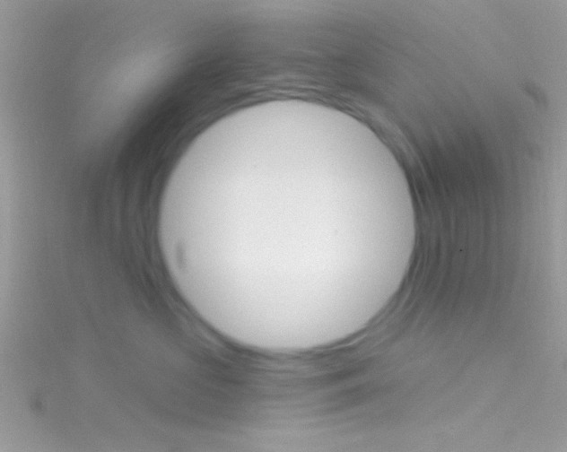 X0000116160573200911231043