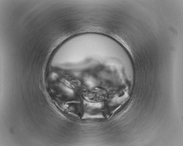X0000116160581200911231042