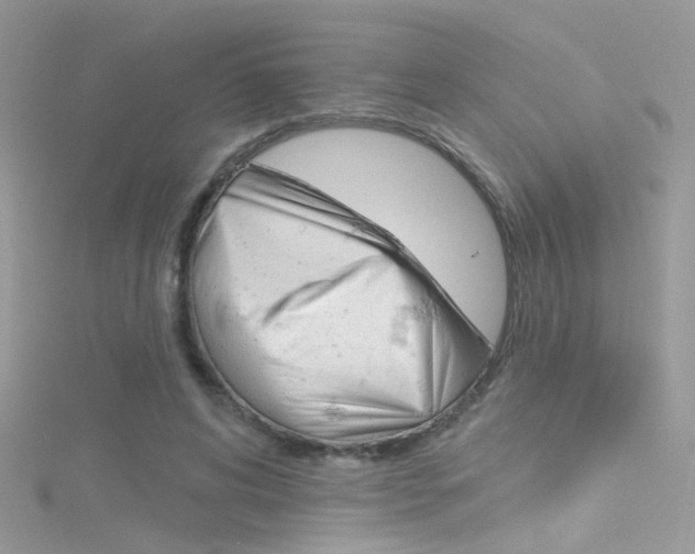 X0000116160592200911231042