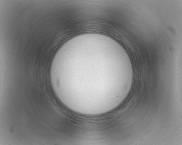 X0000116160599200911231042