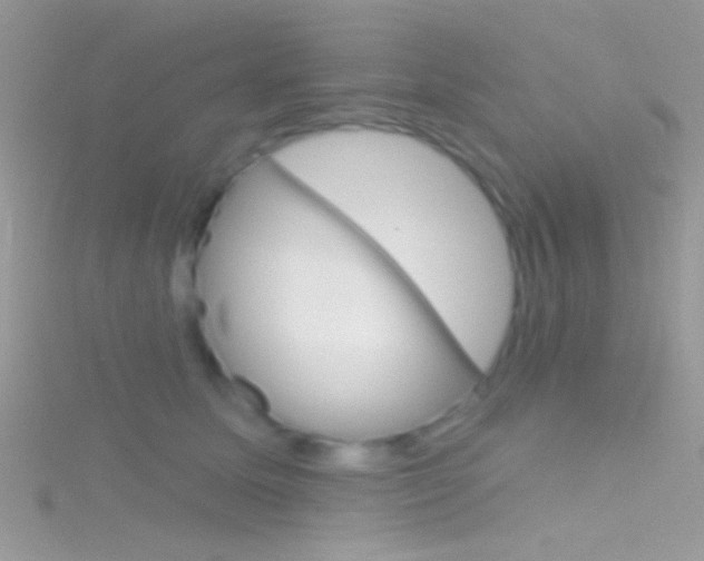 X0000116160611200911231042