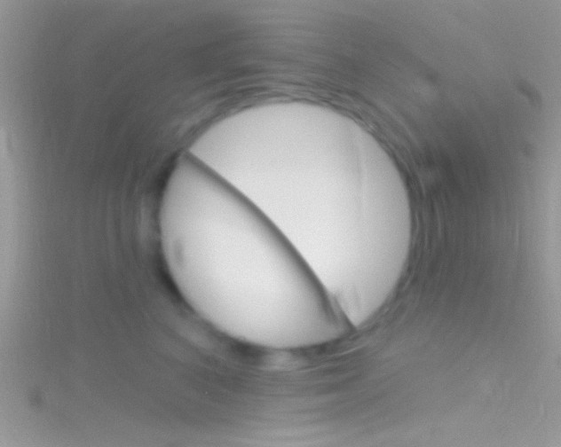 X0000116160616200911231042