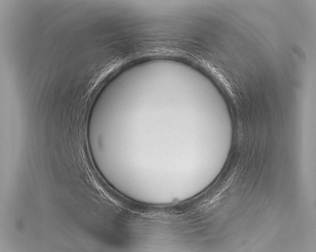 X0000116160625200911231041