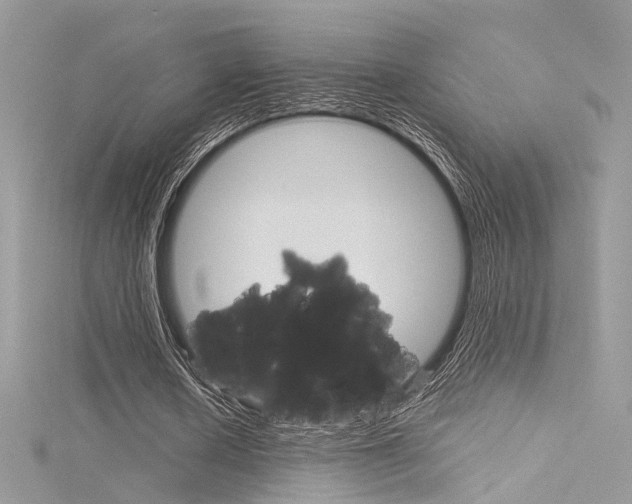 X0000116160626200911231041