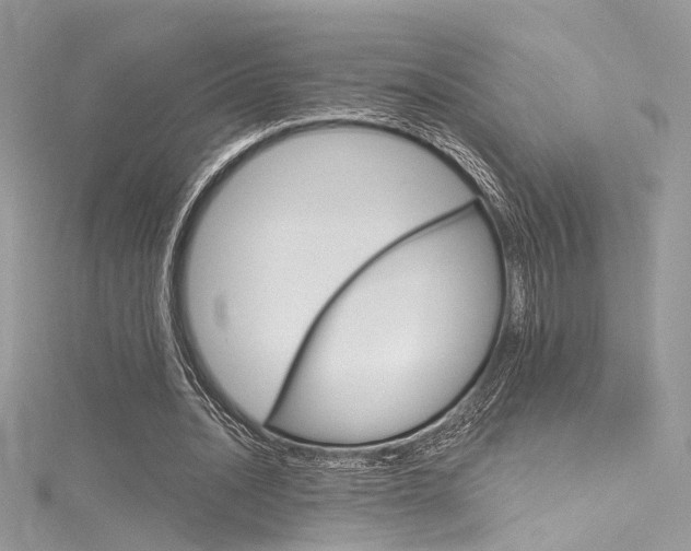 X0000116160628200911231041