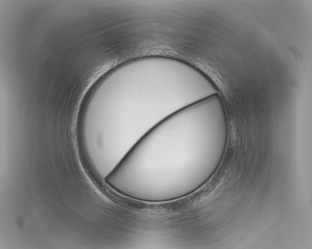 X0000116160630200911231041