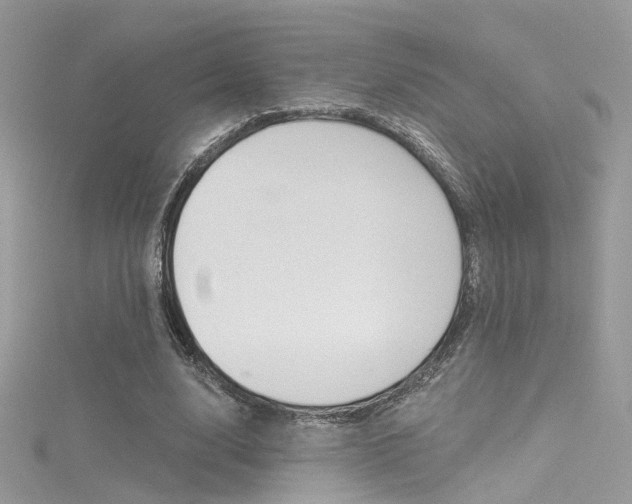 X0000116160632200911231041